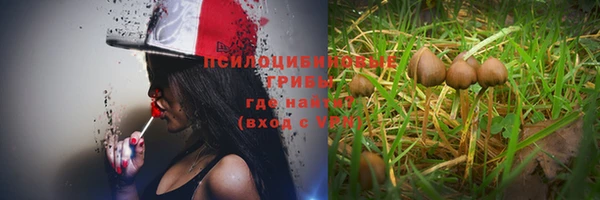 прущая мука Абаза