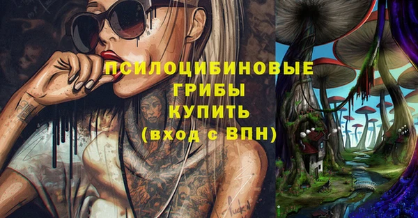 прущая мука Абаза