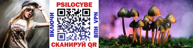 Галлюциногенные грибы MAGIC MUSHROOMS  хочу наркоту  Новотитаровская 