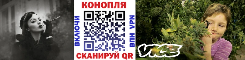 продажа наркотиков  Новотитаровская  Бошки Шишки THC 21% 